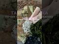 этот завтрак никого не оставит равнодушным! рецепт в комментариях и тгк🤌🏻 #ппзавтрак #ппрецепты