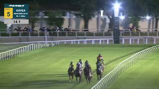 Vidéo de la course PMU PREMIO HEATHEN