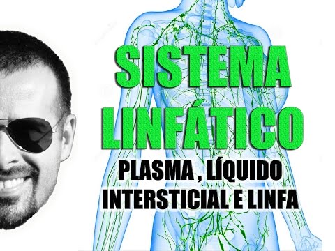 Vídeo: Diferença Entre Plasma E Fluido Intersticial