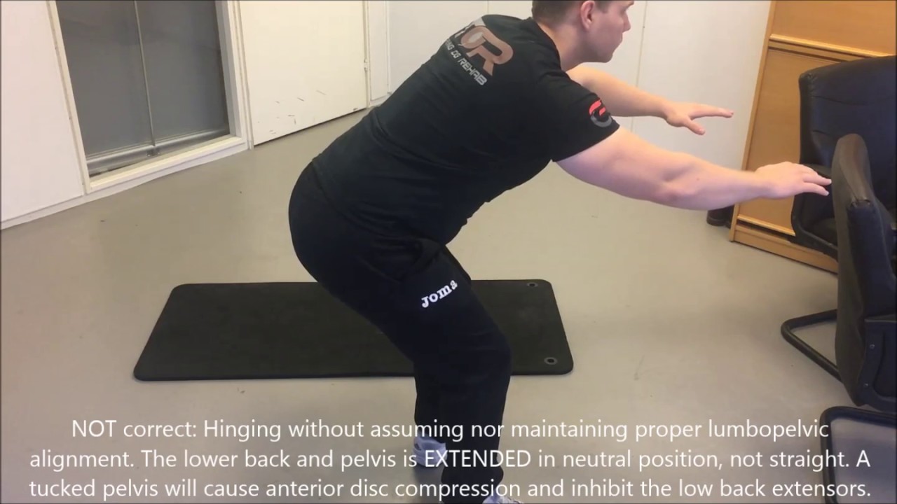 Pelvic alignment during the hip hinge YouTube