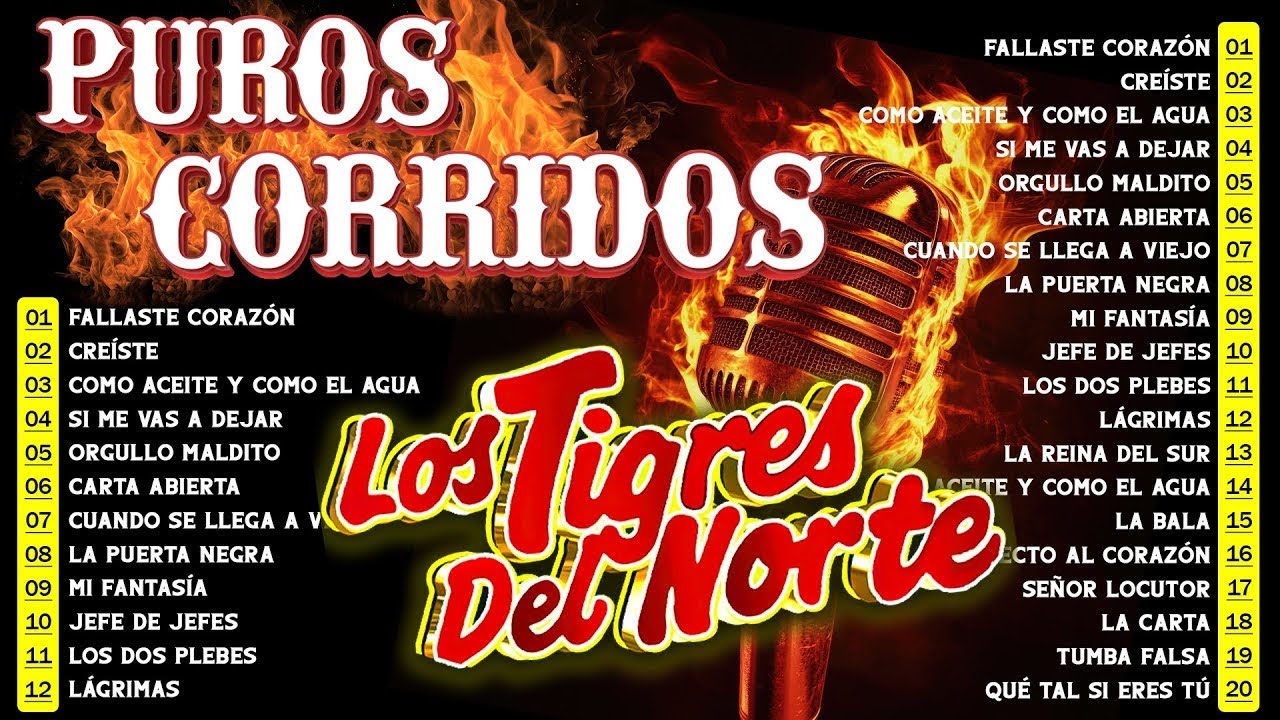 PUROS CORRIDOS PESADOS DE TIGRES DEL NORTE ~ LOS TIGRES DEL NORTE CORRIDOS PROHIBIDOS ALBUM COMPLETO