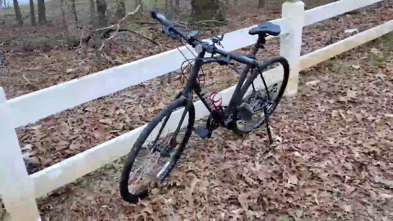 trek fx 2 2020