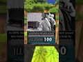 INVENTIONS MEMES