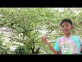ธนูอีสานของใต้ลองเปลี่ยนริบบิ้นบ้าง