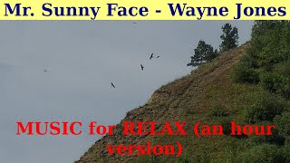 MUSIC for RELAX. || Mr. Sunny Face by Wayne Jones. || An hour version.