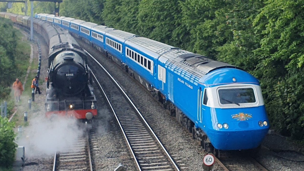 blue pullman tours 2024