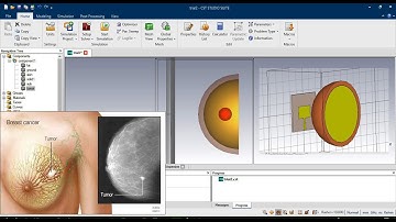 Phantom creation in CST studio