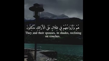 قرآن كريم بصوت القارئ هزاع البلوشي.♥️| حالات واتس اب