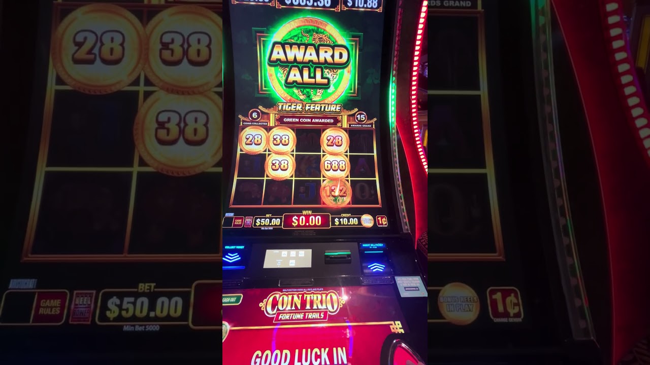 sao78 trang web cá cược Tải xuống It was shocking !: casino slotscasinogames slot slot