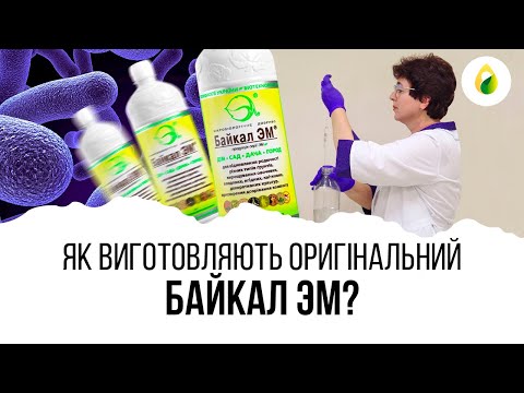 Wideo: Zika, Chroń Się Tą Odzieżą