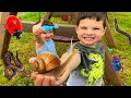 Kids bug hunt at grandmas house caleb catches bugs giant snail worms  spiders in backyard