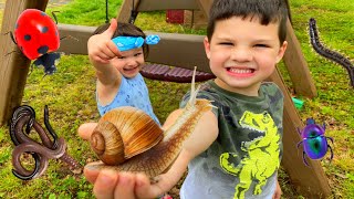 KIDS BUG HUNT at GRANDMA's HOUSE! Caleb CATCHES BUGS! GIANT SNAIL, WORMS, \& SPIDERS in BACKYARD!