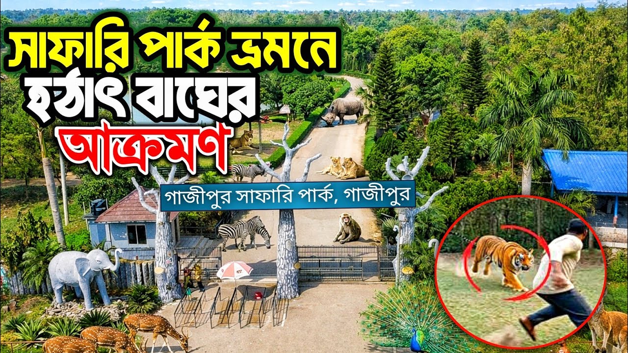 ⁣গাজীপুর সাফারি পার্কে বাঘের আক্রমণের সেই ভয়ঙ্কর দৃশ্য ও ফুল পার্ক রিভিউ ২০২৬