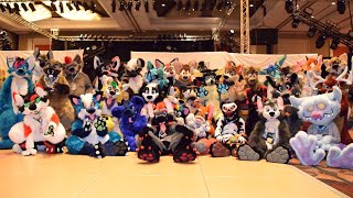 Shane Deepwood presents: Travels To MFF