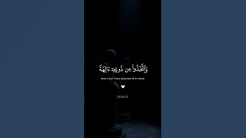 لا إله إلا الله...♥😴| #قرآن #تلاوة_خاشعة #راحة_نفسية #عبدالرحمن_مسعد #اكسبلور #تابعوني #لايك