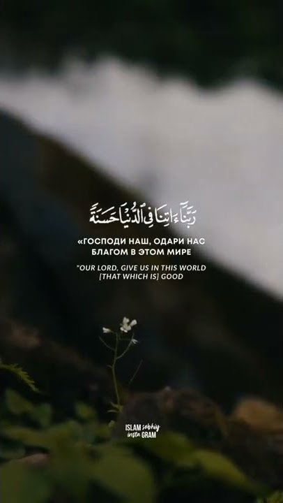 Surah Al-Baqarah: 201 | Islamsobhi | Beautiful Quran recitation