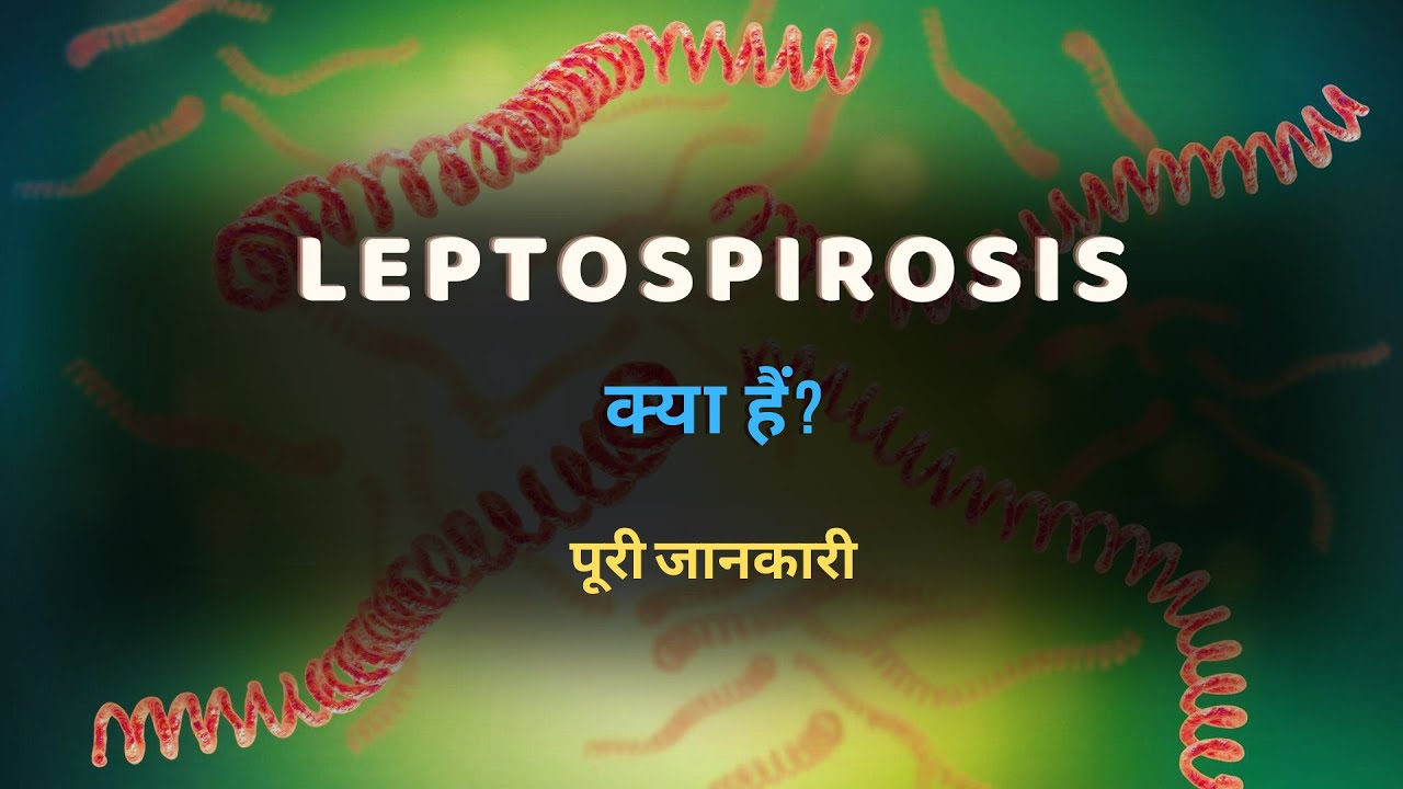 What is Leptospirosis with Full Information? – [Hindi] – Quick Support