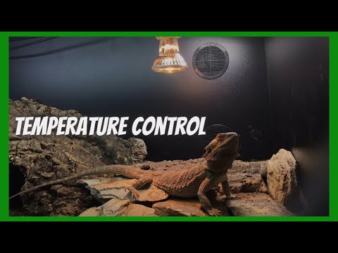 Thermostat Probe Placement – Accurately And Effectively Controlling  Temperature In The Vivarium. 
