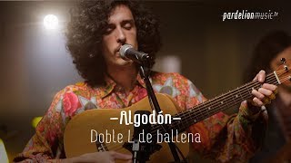 Video thumbnail of "Algodón - Doble L de ballena (Live on PardelionMusic.tv)"