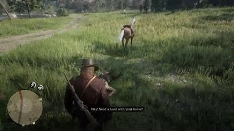 Red Dead Redemption 2 - Unfortunate