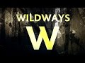 Wildways - D.O.I.T. (Lyric Video)