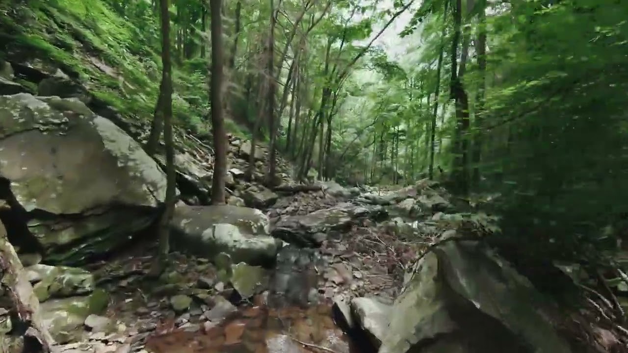 Amazon Jungle View full hd video 😱🔥 best video live vlog  🌐 Duniyaka dangerous forest Amazon jungle