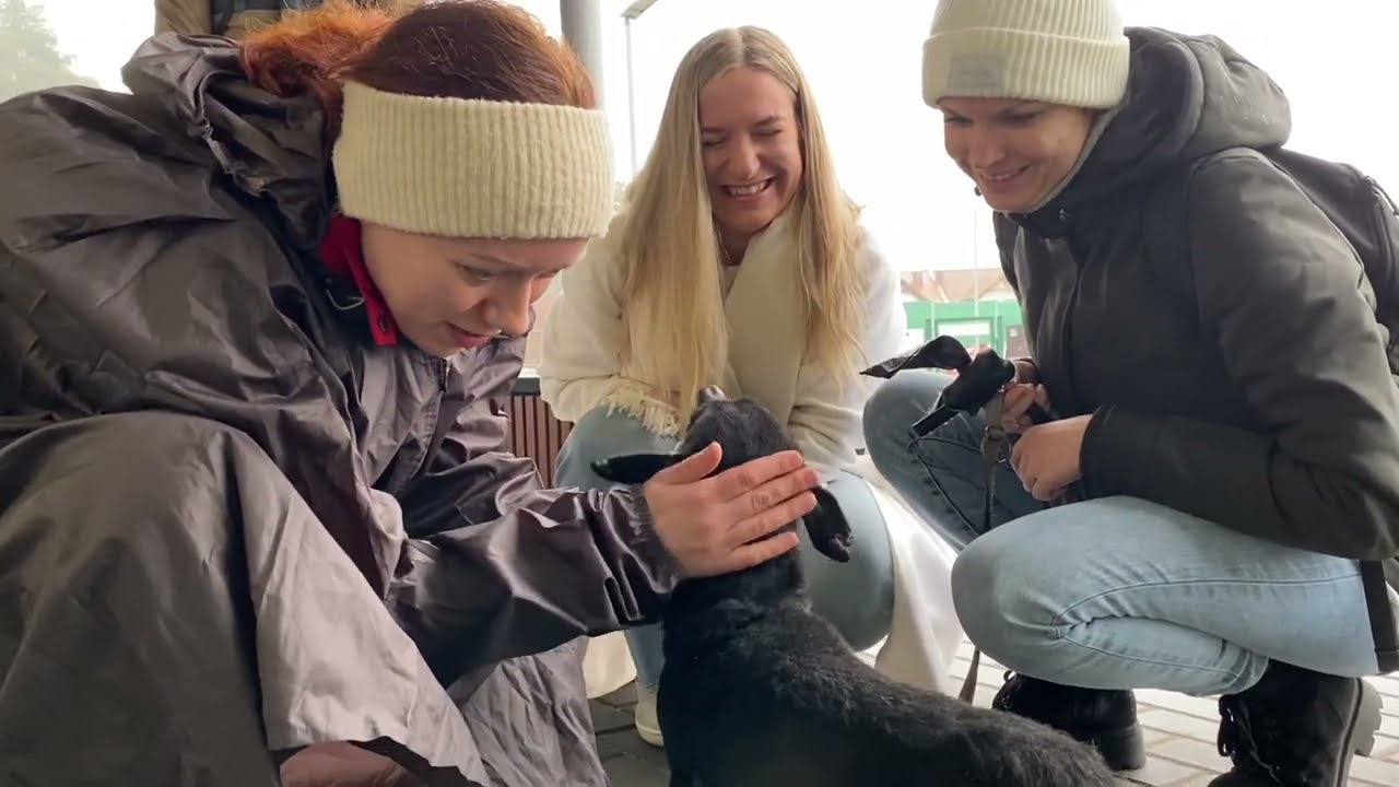 Поездка в быдгощский приют для животных на велосипеде в феврале