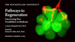 Pathways to Regeneration: Uncovering New Possibilities in Medicine by The Rockefeller University 1,393 views 5 months ago 55 minutes