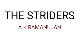 The Striders by AK Ramanujan in Hindi summary 