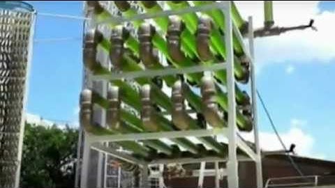 Photobioreactors for microalgae cultivation to produce biodiesel (NPDEAS - UFPR - Curitiba - Brazil)
