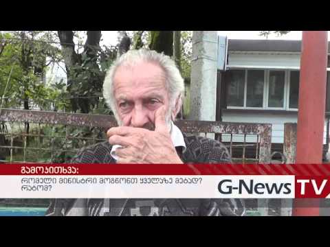 რომელი მინისტრი მოსწონთ გურულებს