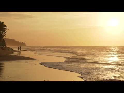 The Killers - Human (Bossa Nova Cover, Rio Branco) | Chill & Relaxing