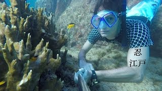 時空忍者 にん(忍) 江戸。ビデオ7 2015年9月 720HD