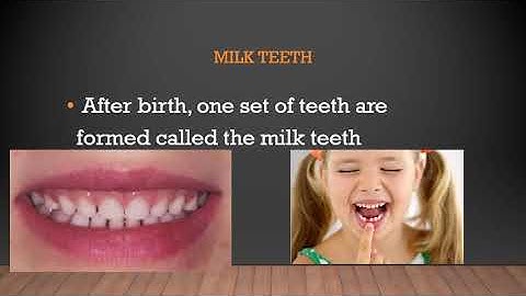4TH STANDARD/ GENERAL SCIENCE/  CHAPTER 6/ OUR TONGUE AND TEETH /VIDEO 12