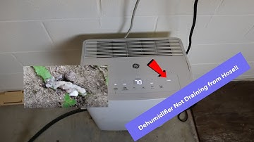 Dehumidifier Not Draining From Hose!