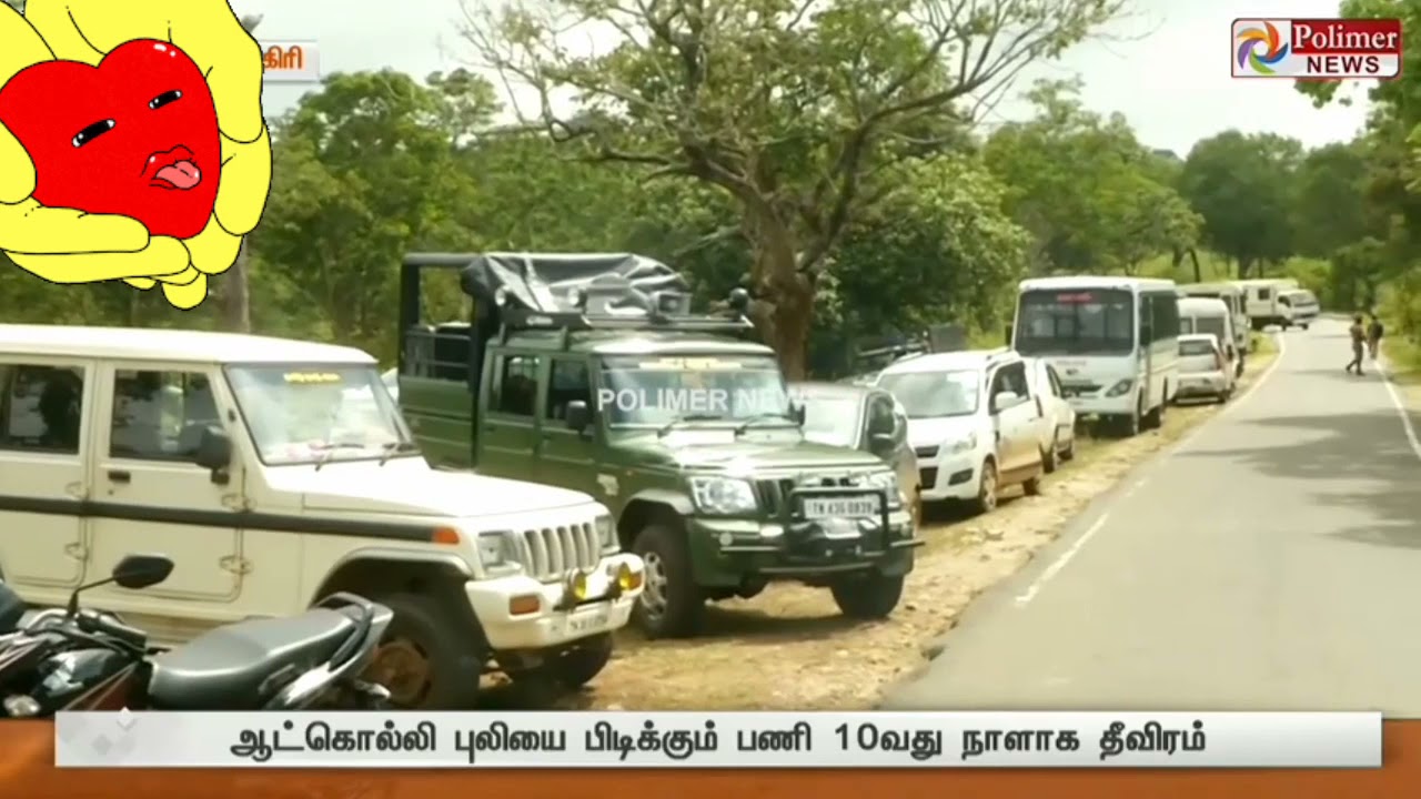 Sharukhan son/ Samantha# save life# vannarapettai