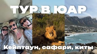 видео: Лучшие места Кейптауна и Побережья | vlog18 картинка: Лучшие места Кейптауна и Побережья | vlog18