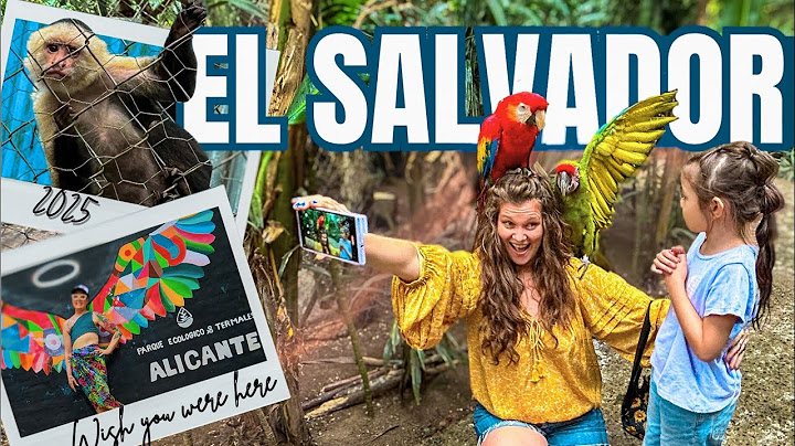 EL SALVADOR is AMAZING 🇸🇻 Hot Springs & Monkeys?! | Hotel Alicante #elsalvador