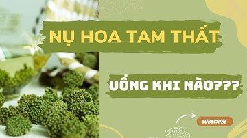 Nụ hoa tam thất nên uống lúc nào? | Thảo Dược Xanh