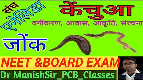 संघ ऐनेलिडा-Phylum Annelida -Part-8