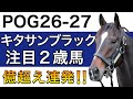 【POG/26−27】キタサンブラック産駒の注目２歳馬をリストアップ！【億超え連発のバブル世代‼️次シーズン向け】