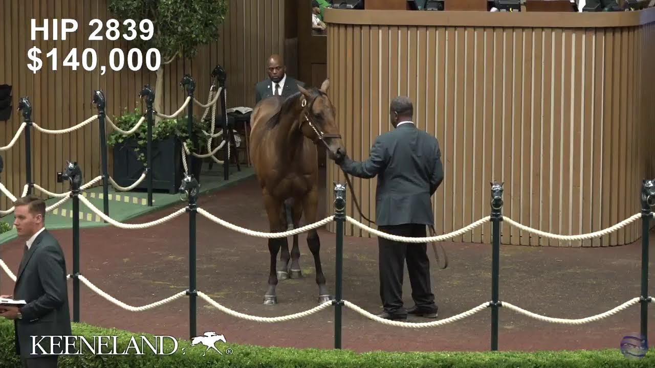 Keeneland Live Feed
