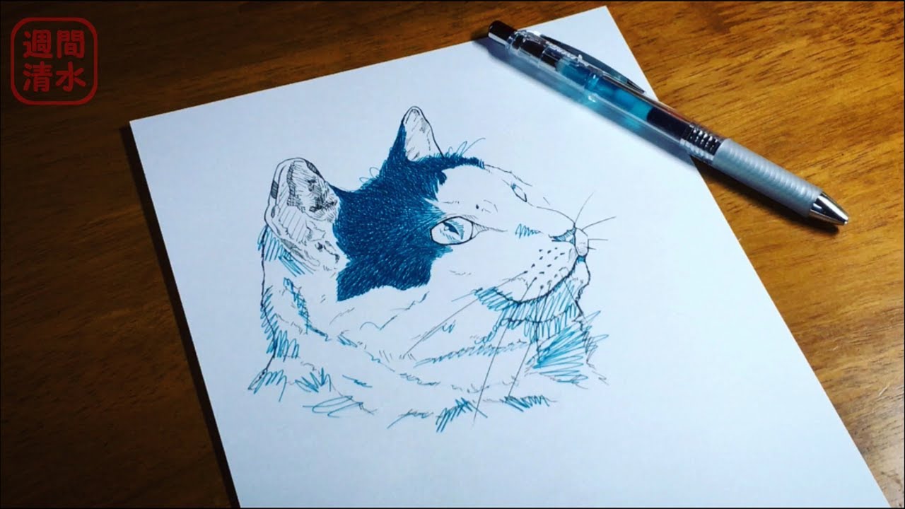 気軽にボールペンアート4 猫 横顔 ぶちねこ Shorts Ballpoint Pen Drawing Cute Cat ペン画 イラスト 簡単 スケッチ ब ल ल Kucing Youtube