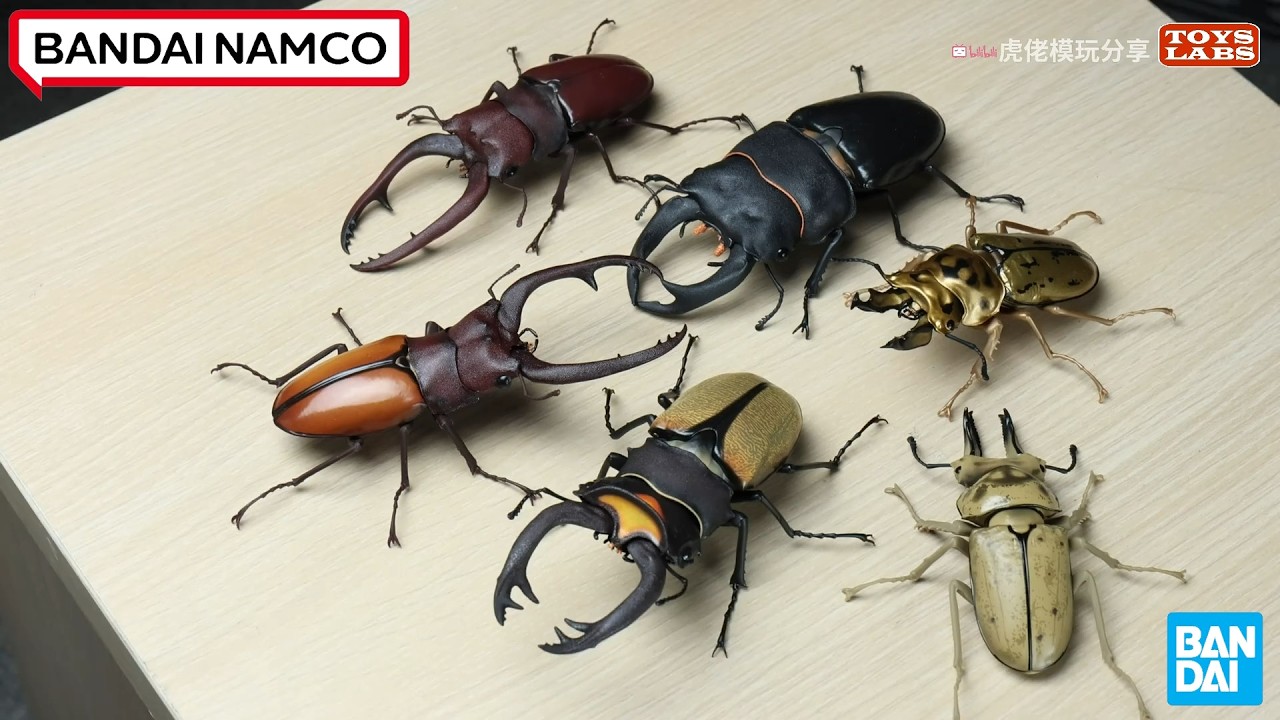 玩具已经这么卷了吗！万代生物大图鉴锹甲09 测评昆虫甲虫- YouTube