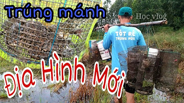 Đặt Lợp Ếch | Bẫy Ếch Ở Địa Điểm Mới Chạy Kỉ Lục | catch frog viet Nam | Học vlog