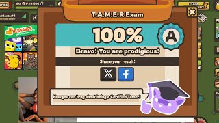 Taming.io tamer exam 100% part1