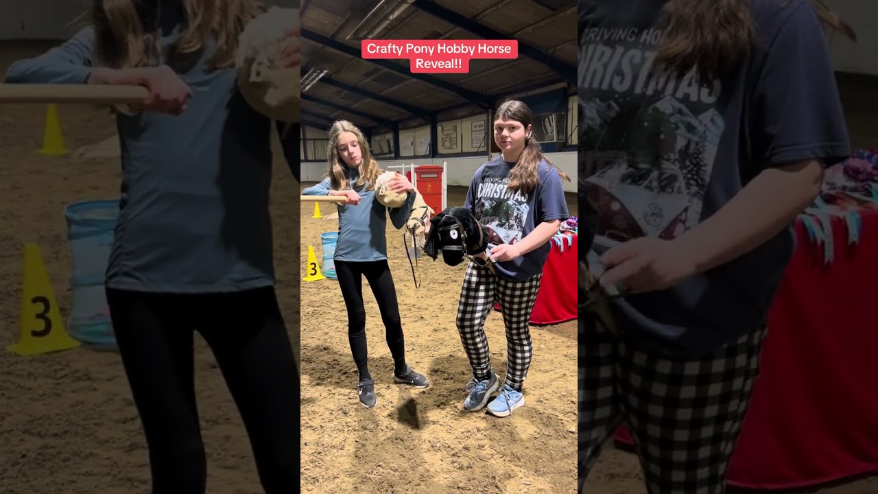 Crafty Pony Hobby Horse Big Reveal!!