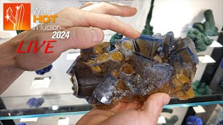 Persson Rare Minerals - Part 3 - What's Hot In Tucson: 2024 LIVE