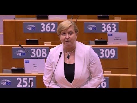 დებატები ევროპარლამენტში და კიდევ ერთი მკაცრი გზავნილი „ოცნების“ ხელისუფლებას