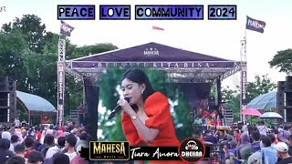 MEMANDANGMU_MENGEJAR BADAI / Tiara Amora MAHESA MUSIC ft Dhehan pro